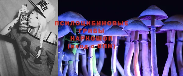 стафф Верхний Тагил