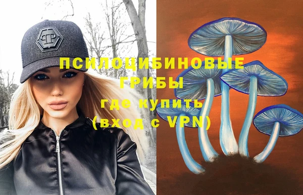 ГАЛЛЮЦИНОГЕННЫЕ ГРИБЫ Верея