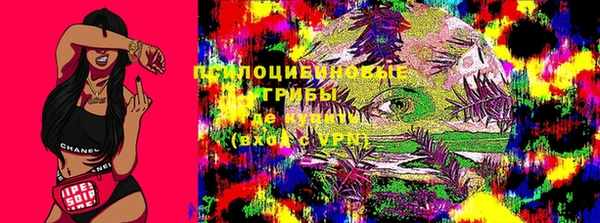 герыч Бородино