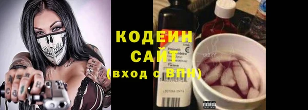 ГАЛЛЮЦИНОГЕННЫЕ ГРИБЫ Верея
