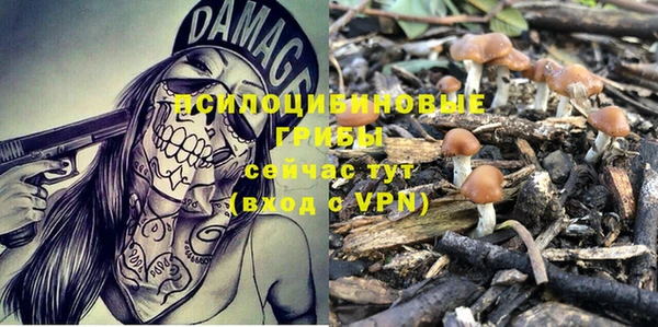 PSILOCYBIN Бугульма