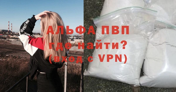 ГАЛЛЮЦИНОГЕННЫЕ ГРИБЫ Верея